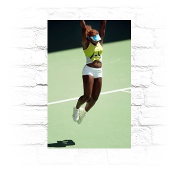 Serena Williams Metal Wall Art