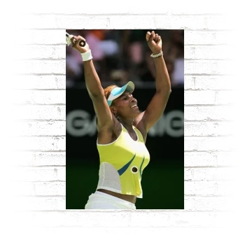 Serena Williams Poster