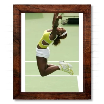 Serena Williams 14x17