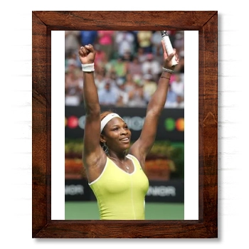 Serena Williams 14x17