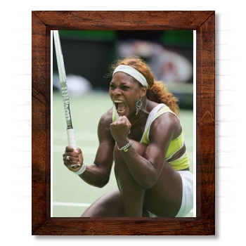 Serena Williams 14x17