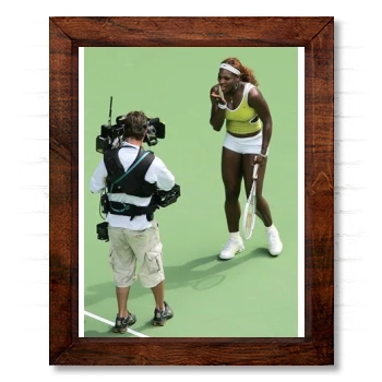 Serena Williams 14x17