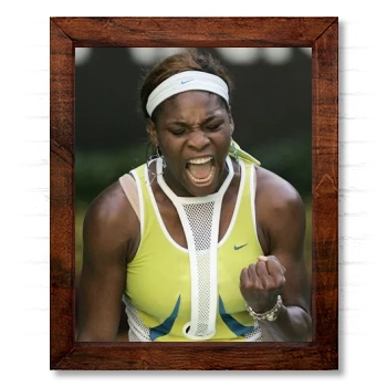 Serena Williams 14x17