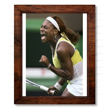 Serena Williams 14x17