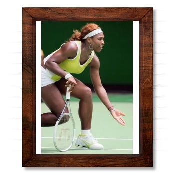 Serena Williams 14x17