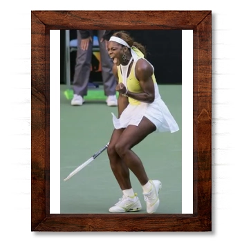 Serena Williams 14x17