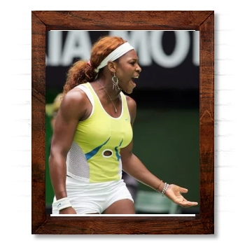 Serena Williams 14x17