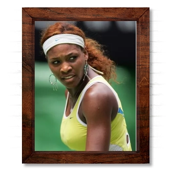 Serena Williams 14x17