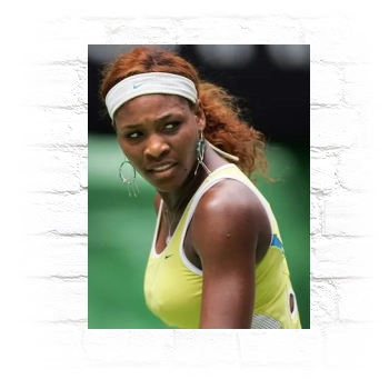 Serena Williams Metal Wall Art