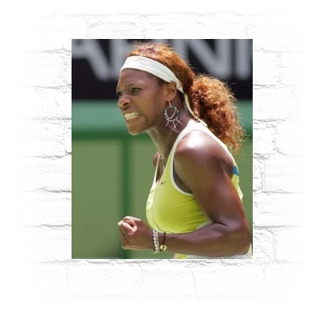 Serena Williams Metal Wall Art