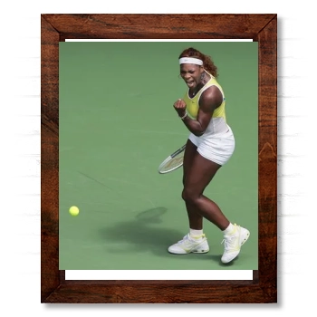 Serena Williams 14x17