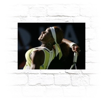 Serena Williams Metal Wall Art