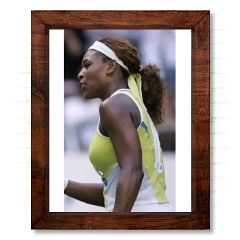 Serena Williams 14x17