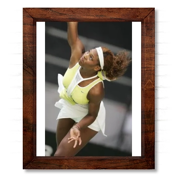 Serena Williams 14x17