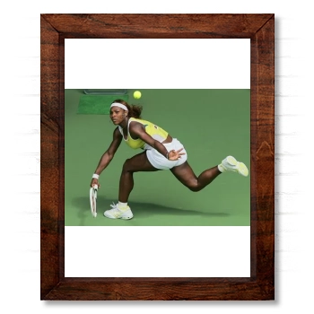 Serena Williams 14x17