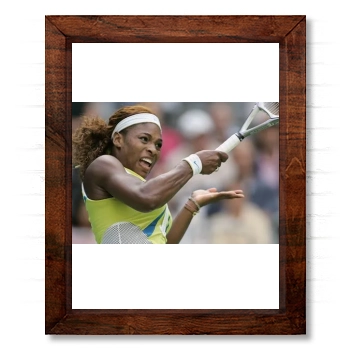 Serena Williams 14x17