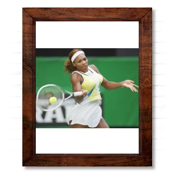 Serena Williams 14x17