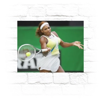 Serena Williams Metal Wall Art