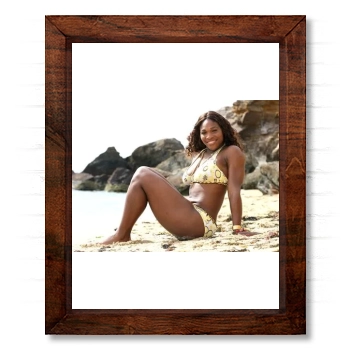 Serena Williams 14x17