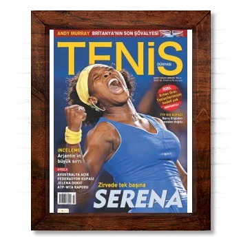 Serena Williams 14x17