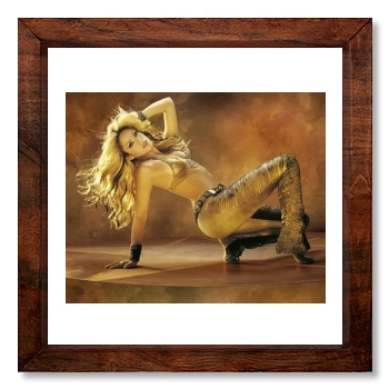 Shakira 12x12