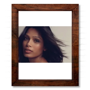 Freida Pinto 14x17