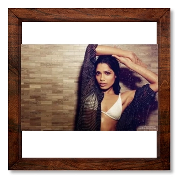 Freida Pinto 12x12