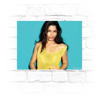 Freida Pinto Metal Wall Art