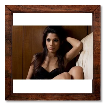 Freida Pinto 12x12