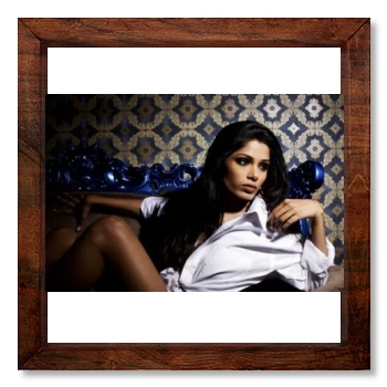 Freida Pinto 12x12