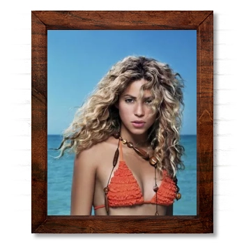 Shakira 14x17