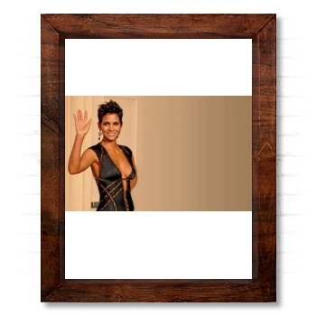 Halle Berry 14x17