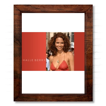 Halle Berry 14x17