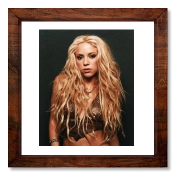 Shakira 12x12