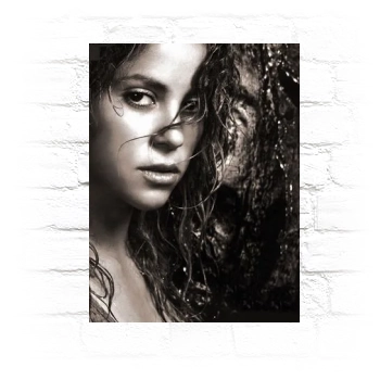 Shakira Metal Wall Art