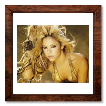 Shakira 12x12