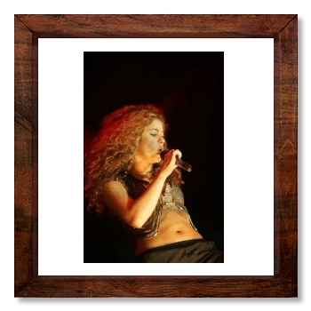 Shakira 12x12