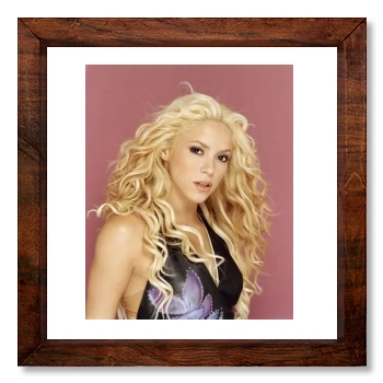 Shakira 12x12