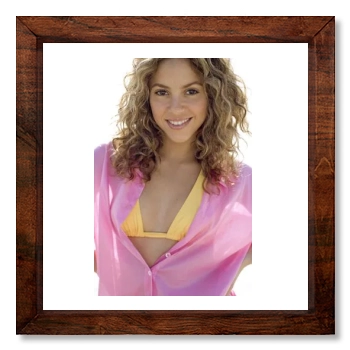 Shakira 12x12