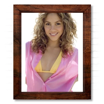 Shakira 14x17