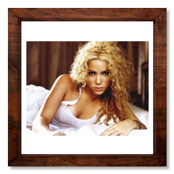 Shakira 12x12