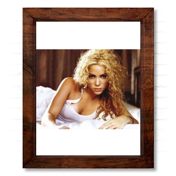 Shakira 14x17