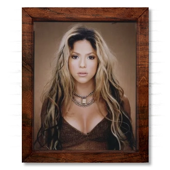 Shakira 14x17