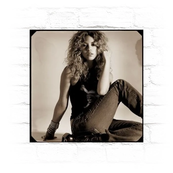 Shakira Metal Wall Art