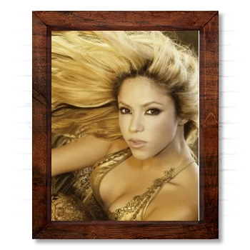 Shakira 14x17