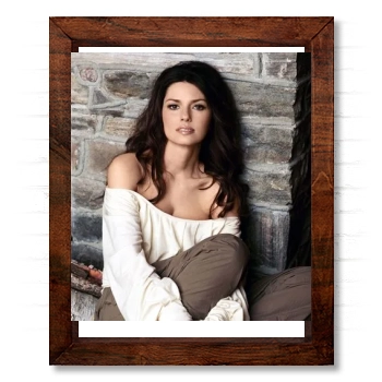 Shania Twain 14x17