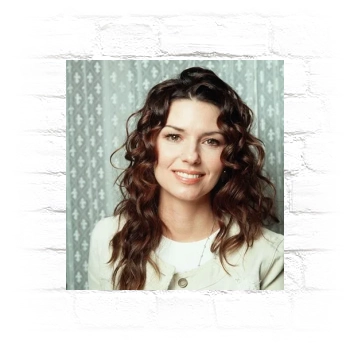 Shania Twain Metal Wall Art