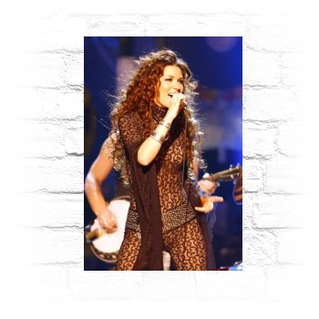 Shania Twain Metal Wall Art