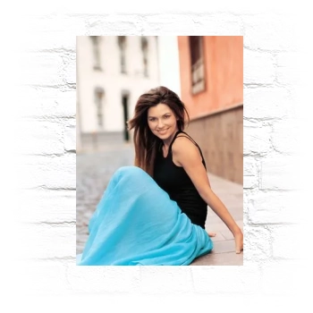 Shania Twain Metal Wall Art