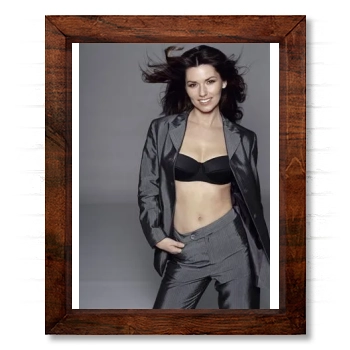 Shania Twain 14x17